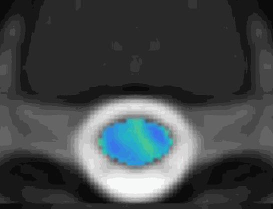 development.gif