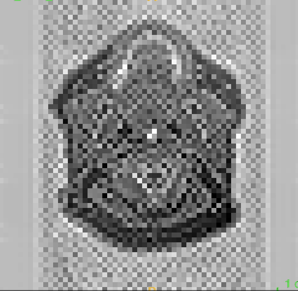 medvae.gif